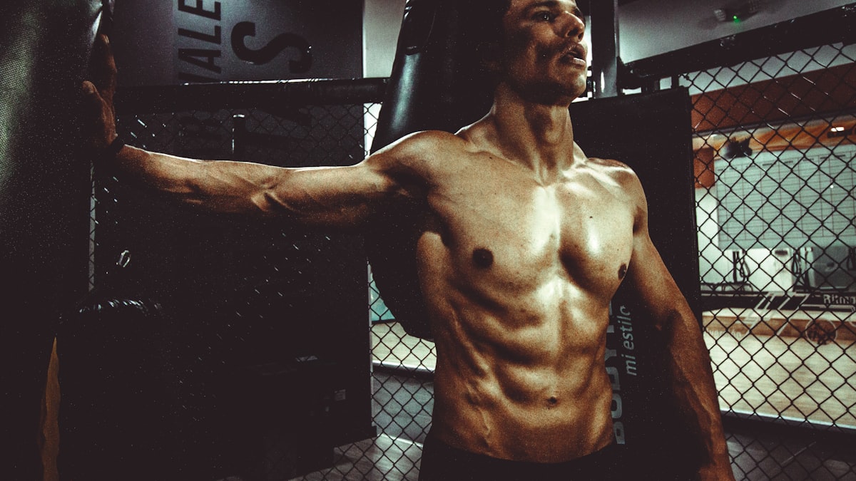 Wellness & Recovery Formula