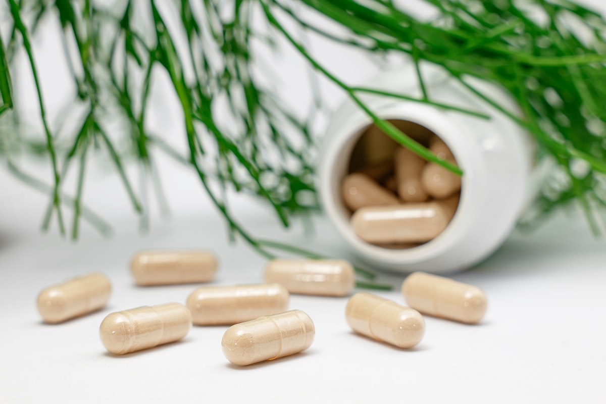 Healthy aging vitality longevity